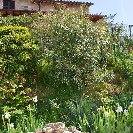 3 Bedrooms With Shared Pool Furnished Garden And Wifi At Daire